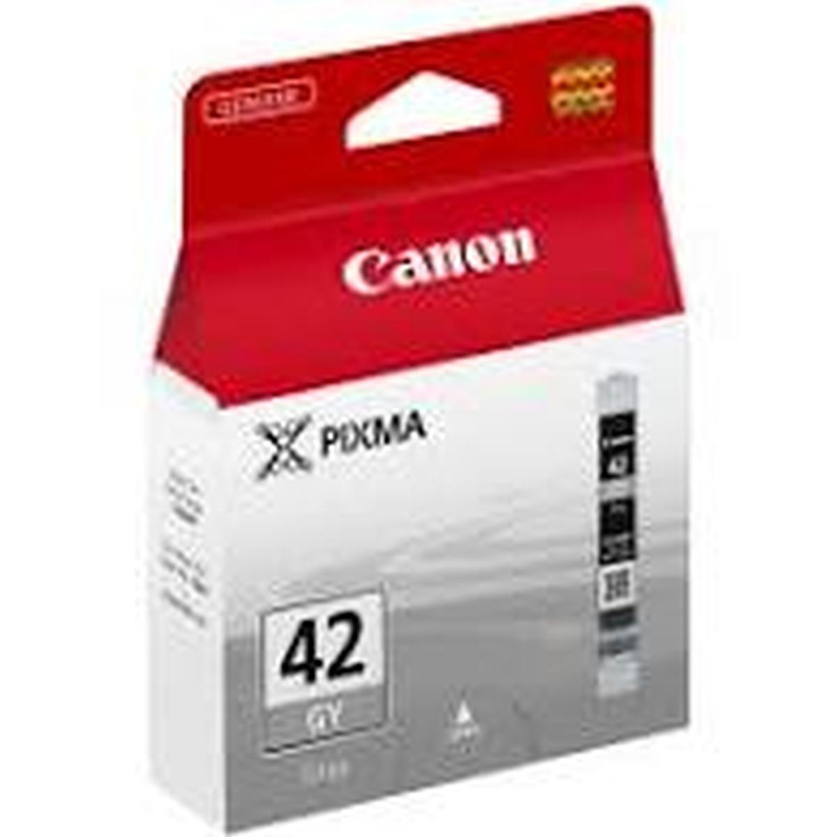 Cartuccia Canon Pixma Cli-42 Gy