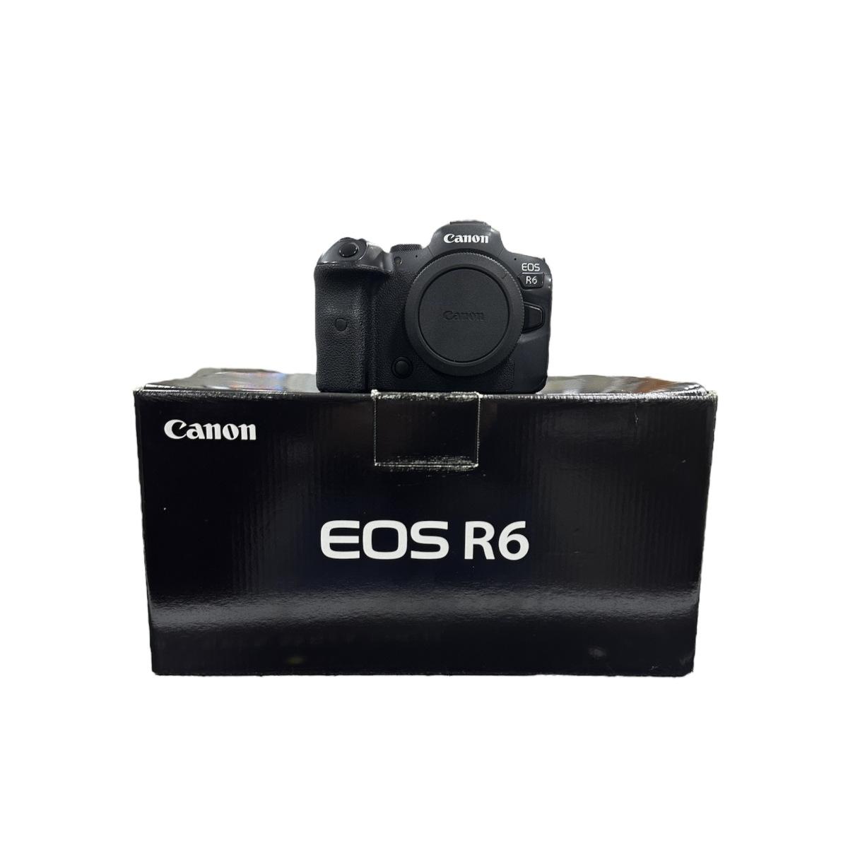 Usato Canon Eos R6 Body - Scatti:446000 - matr 233029001019