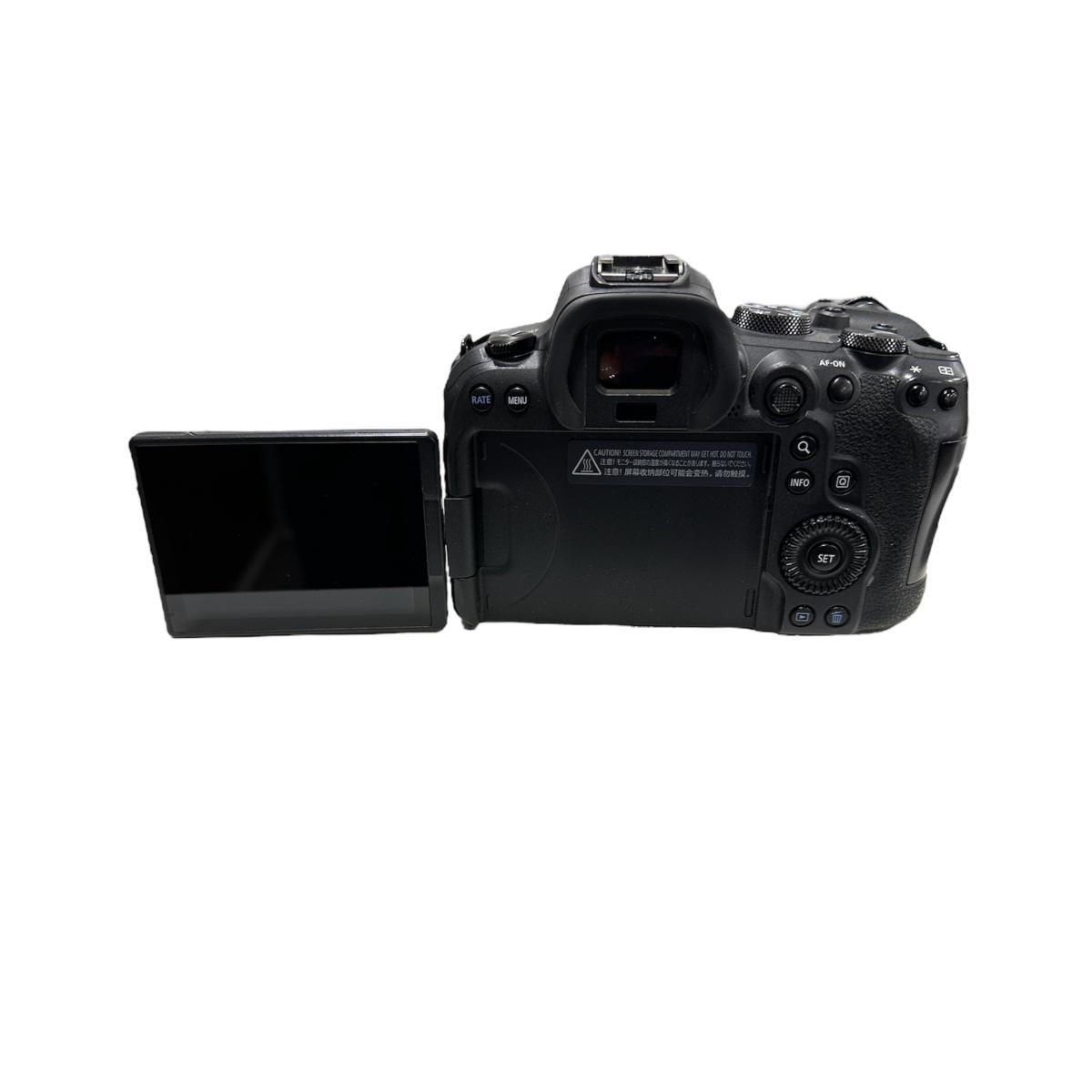 Usato Canon Eos R6 Body - Scatti:446000 - matr 233029001019