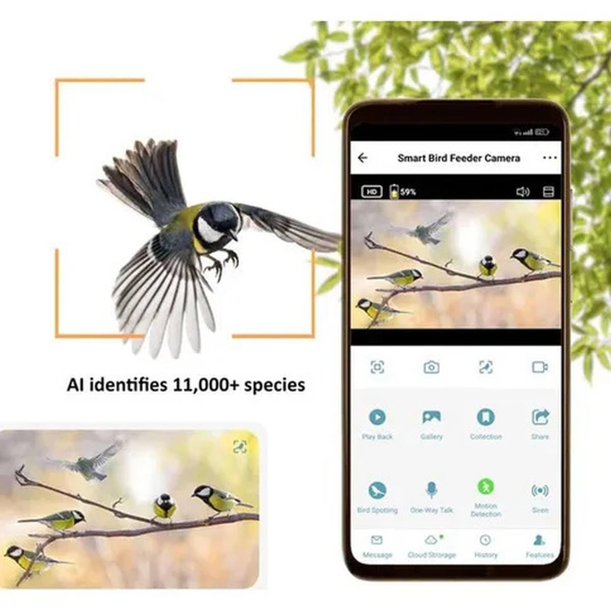 Camouflage EZ Birdfeed - Fototrappola Professionale