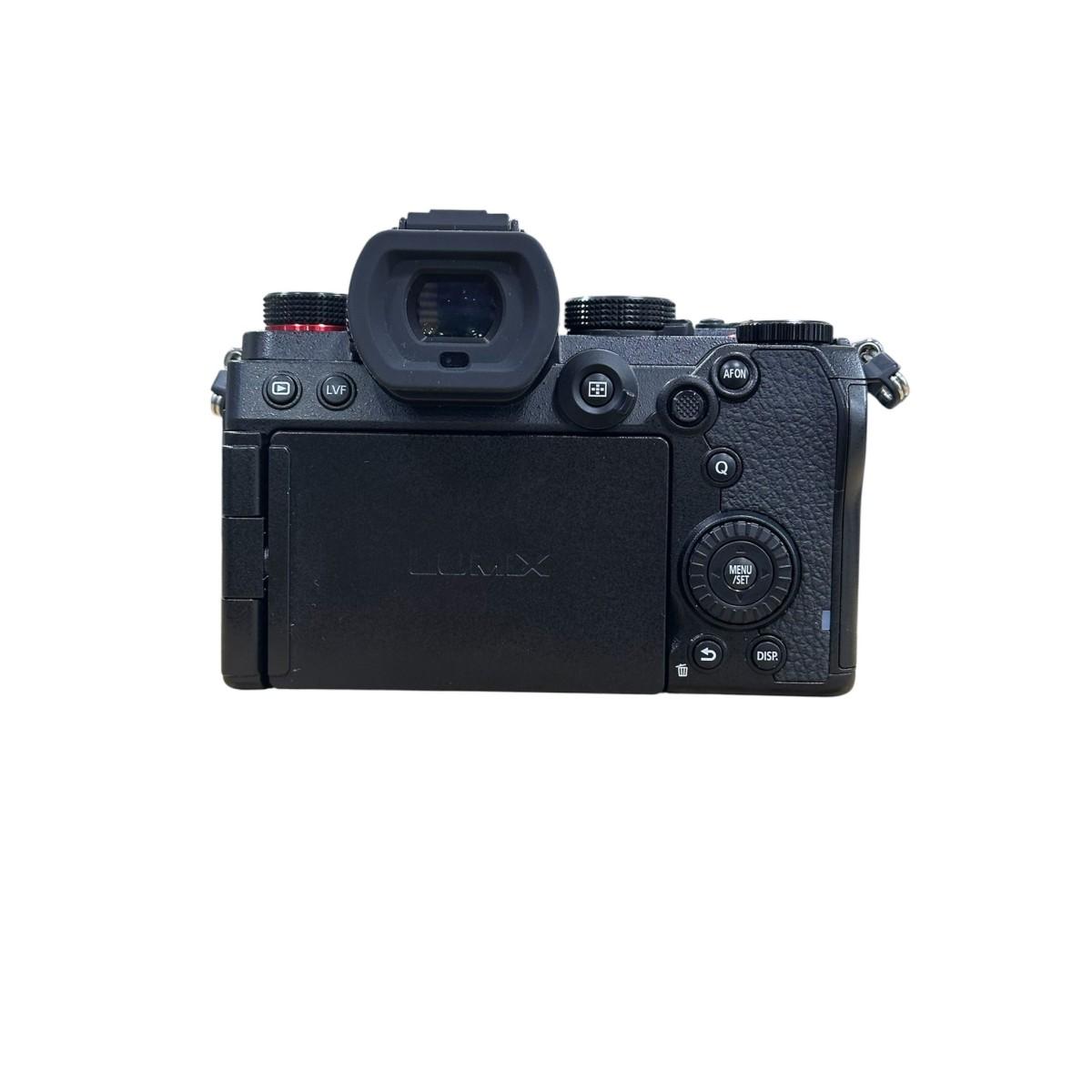 Usato Panasonic Lumix S5D Scatti 2921 - Usato Fotografico Garantito