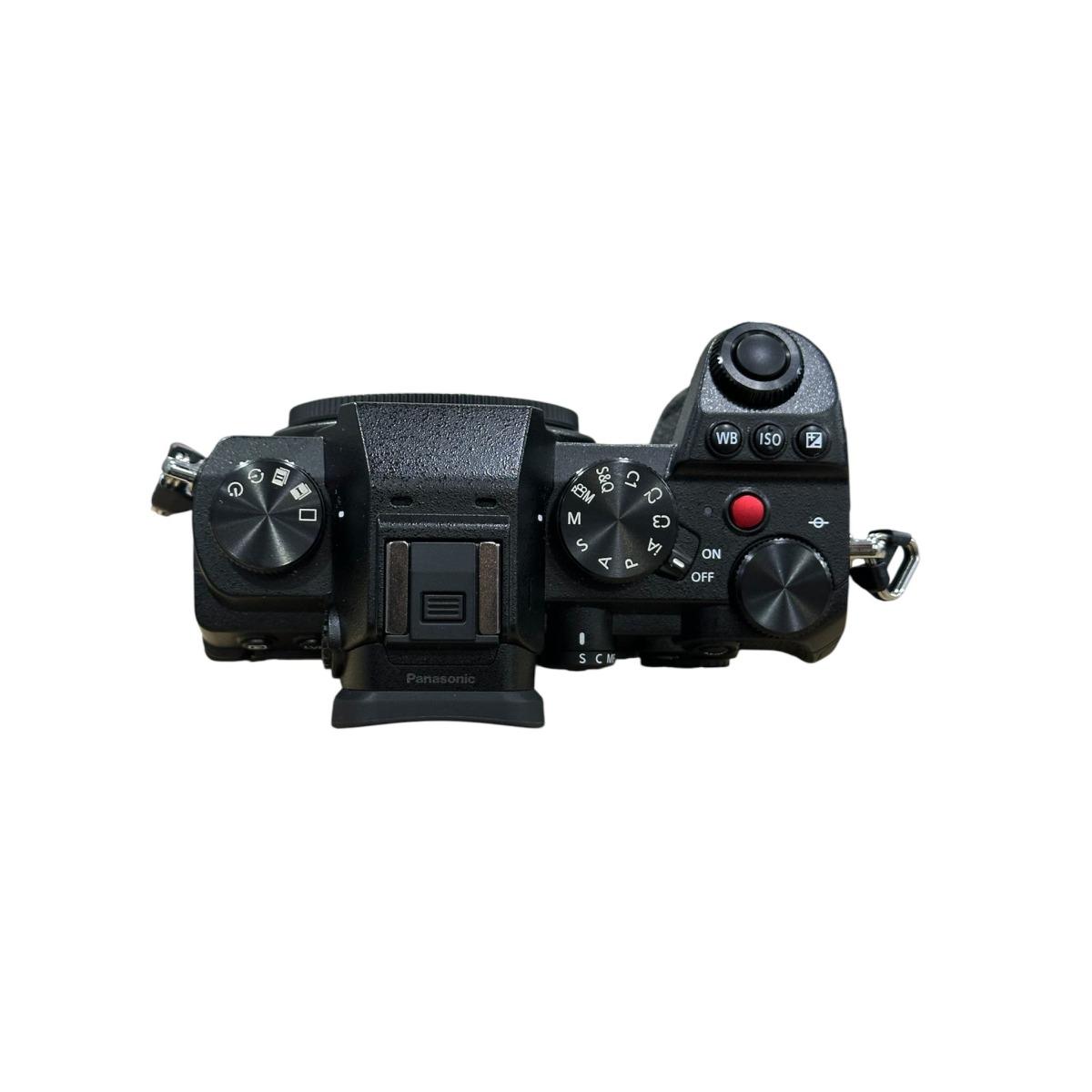 Usato Panasonic Lumix S5D Scatti 2921 - Usato Fotografico Garantito