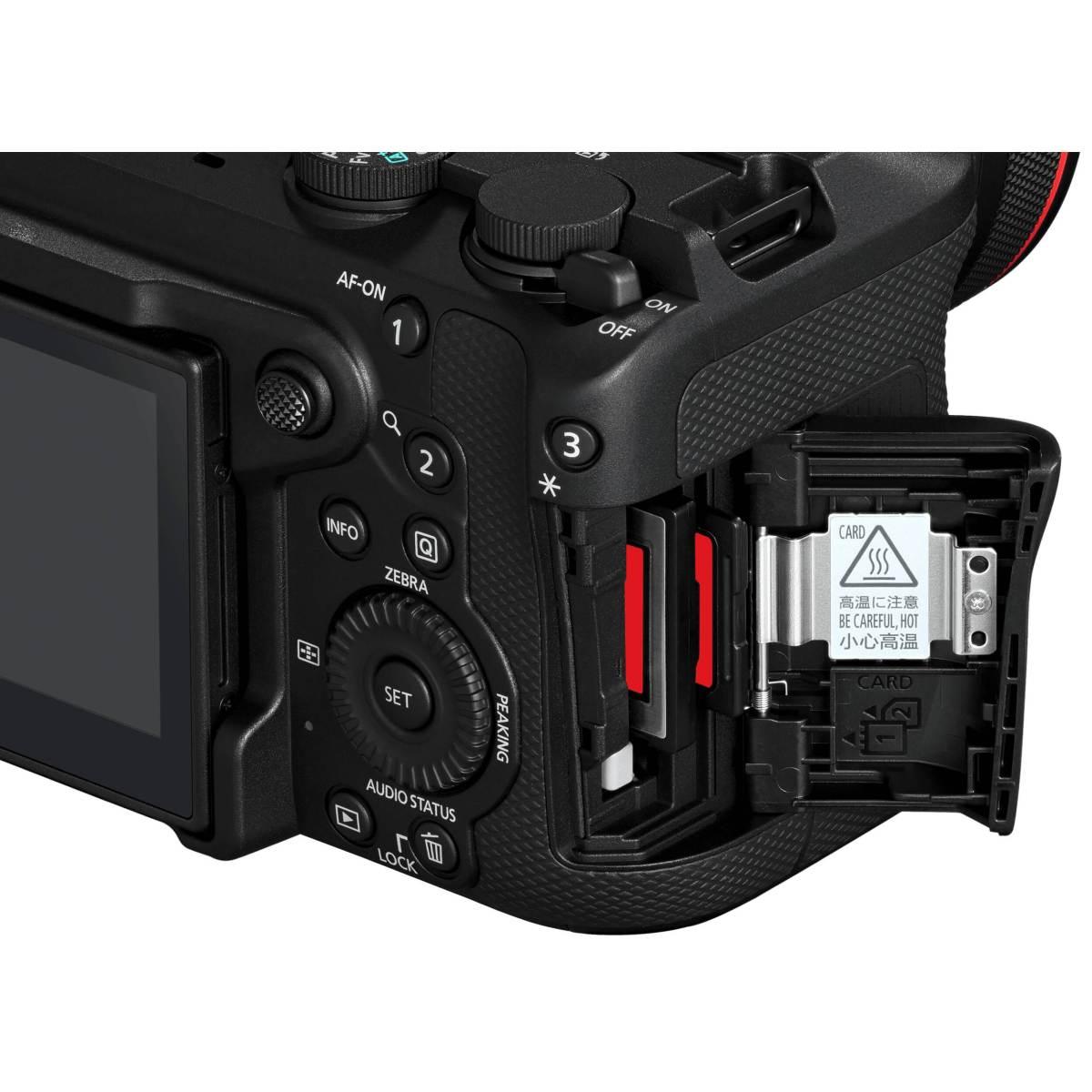 CANON EOS R6 V + RF 20-50mm F4 L IS USM PZ