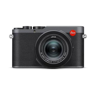 Leica D-LUX 8, metal gray paint finish