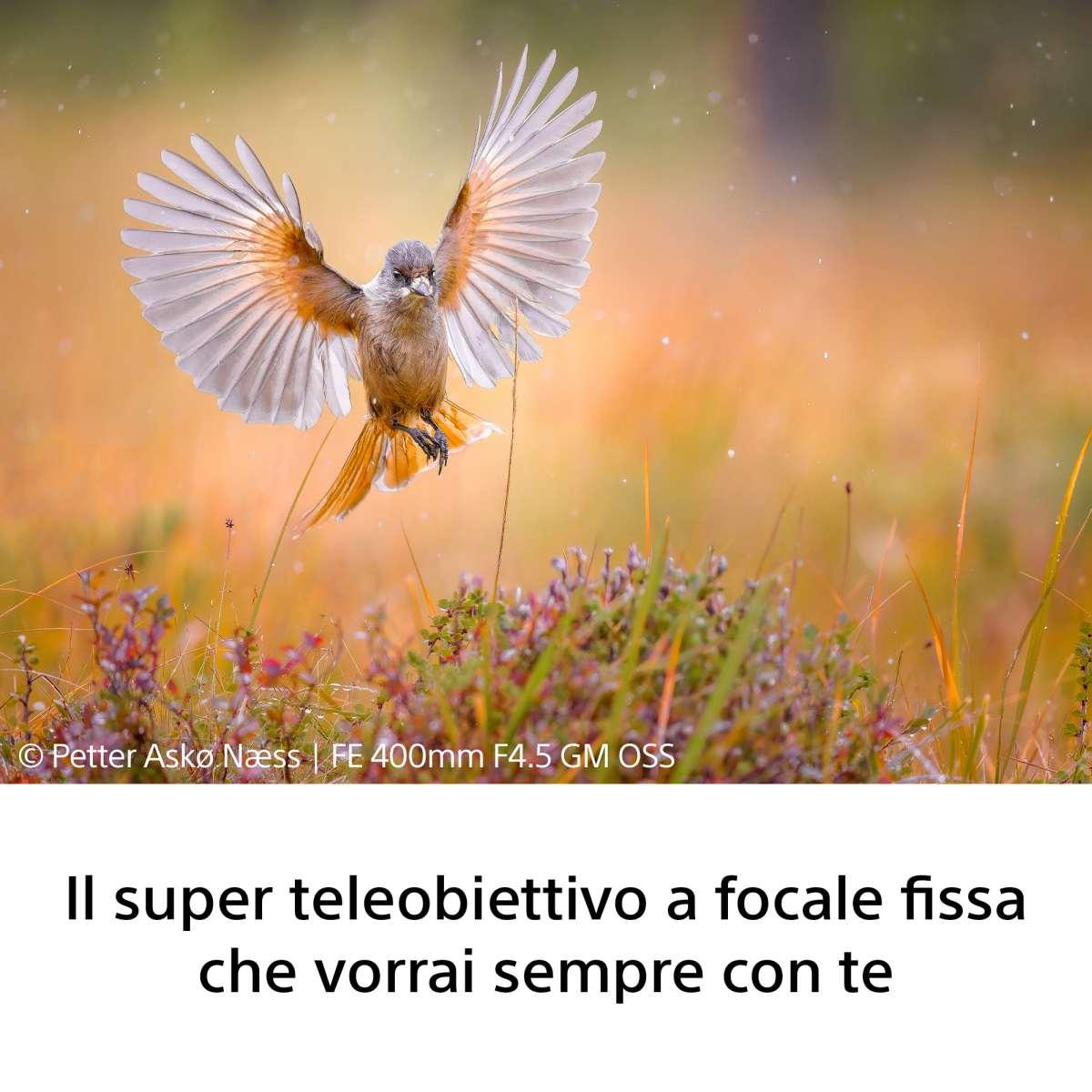 SONY Obiettivo FE 400 mm F4.5 GM OSS di Sony