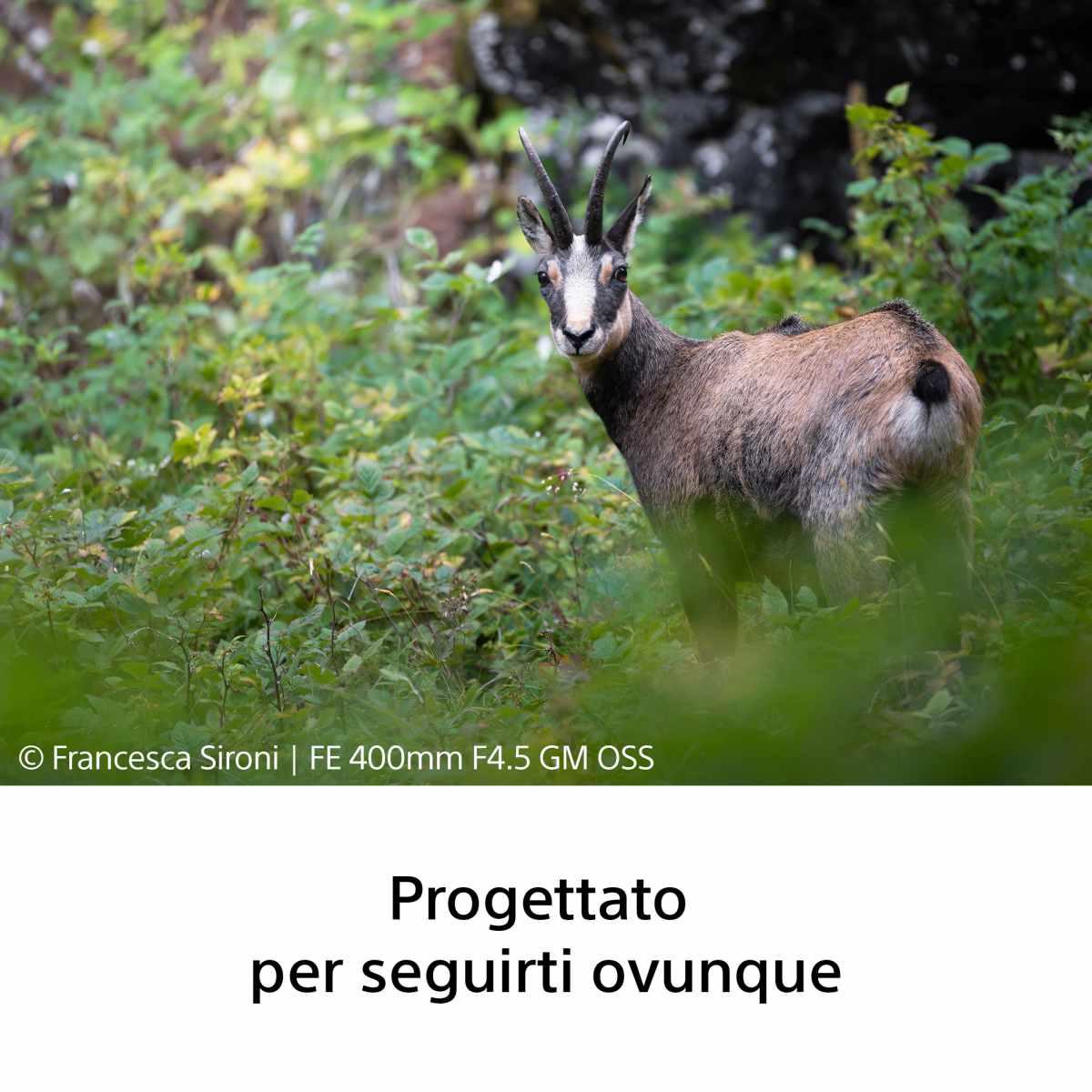 SONY Obiettivo FE 400 mm F4.5 GM OSS di Sony
