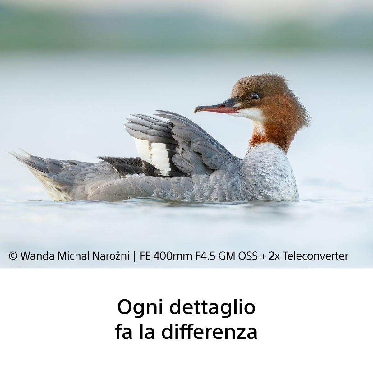 SONY Obiettivo FE 400 mm F4.5 GM OSS di Sony