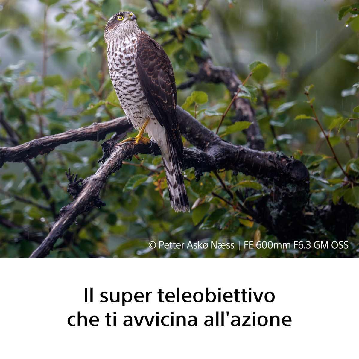 SONY Obiettivo FE 600 mm F6.3 GM OSS di Sony