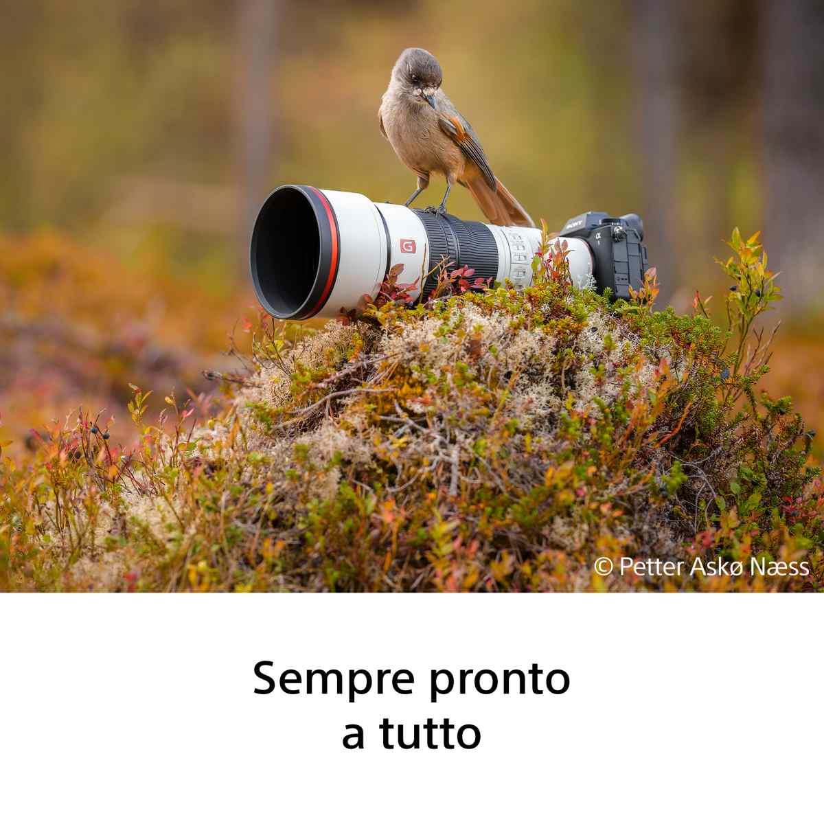 SONY Obiettivo FE 600 mm F6.3 GM OSS di Sony
