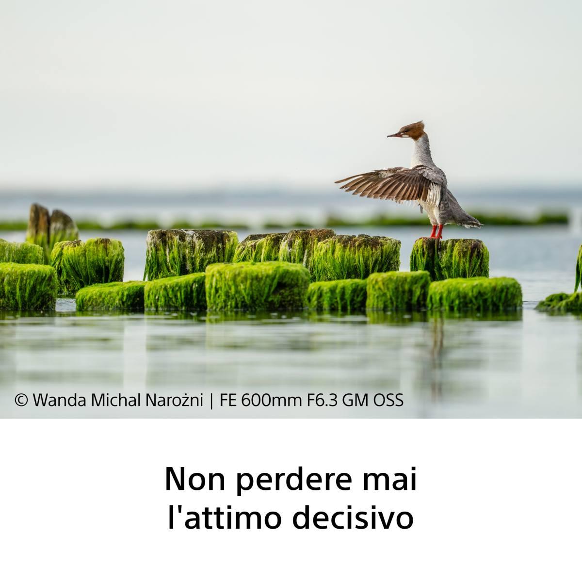 SONY Obiettivo FE 600 mm F6.3 GM OSS di Sony